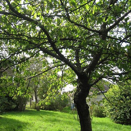 Cairon Maison Avec Grand Jardin Pour 15 Couchages En Normandie חדר תמונה