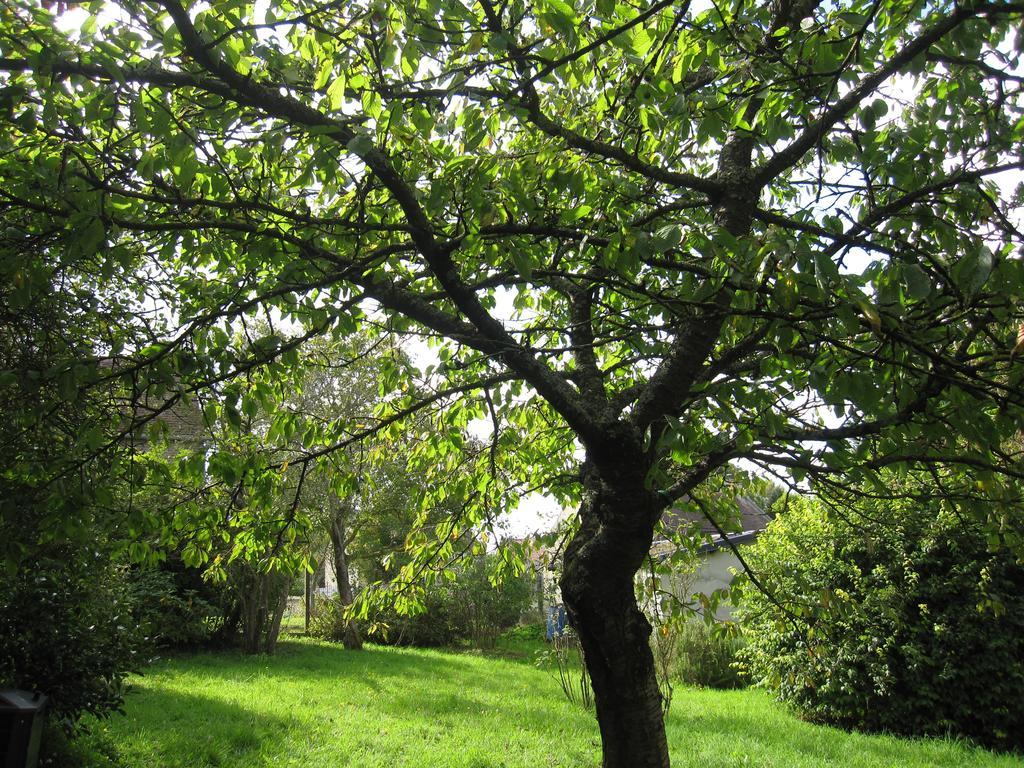 Cairon Maison Avec Grand Jardin Pour 15 Couchages En Normandie חדר תמונה